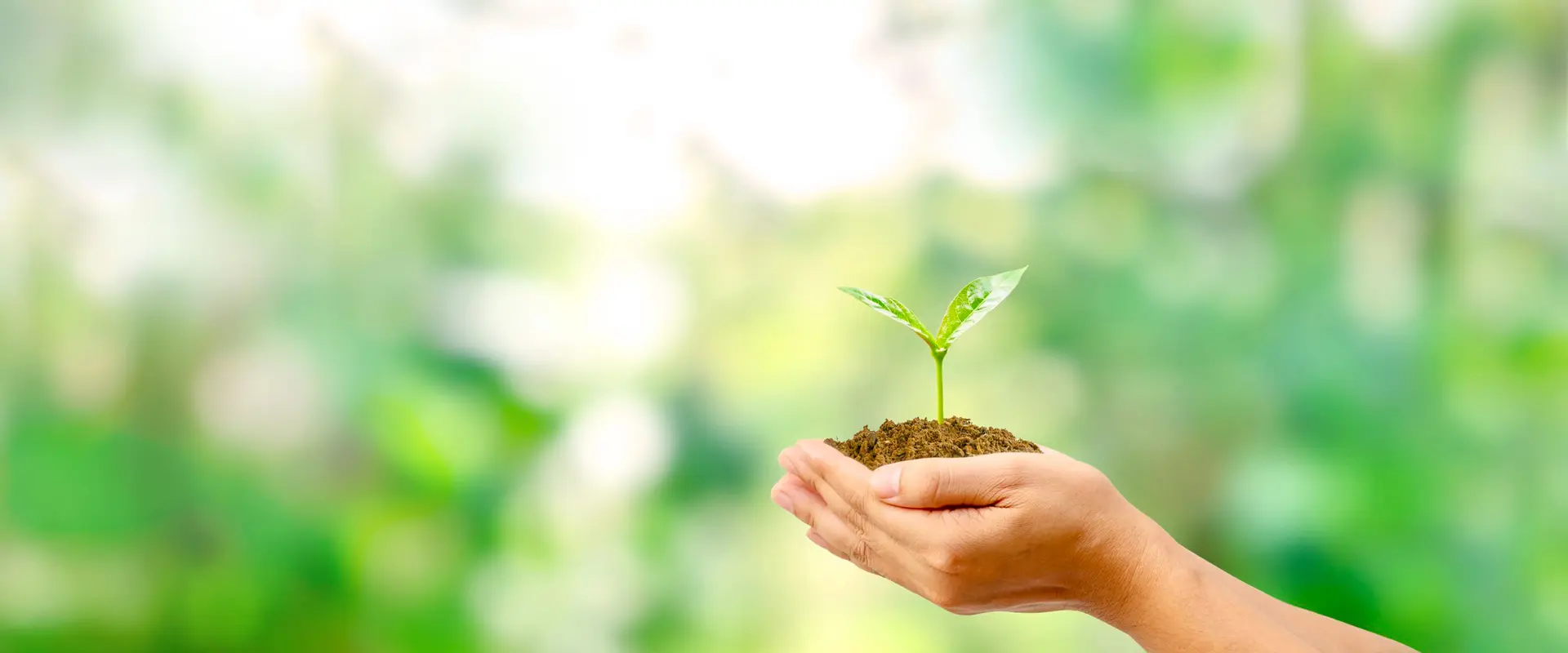 신양교회 MS 4 steps