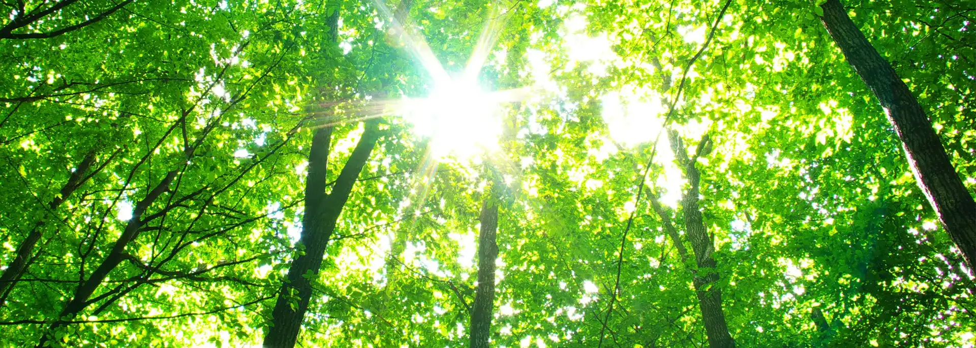 신양교회 남선교회